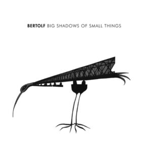 Big Shadow of Small Things (2019) LP
